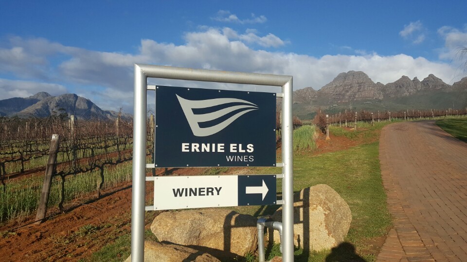 어니엘스 (ERNIE ELS) 골프선수의 와이너리 방문