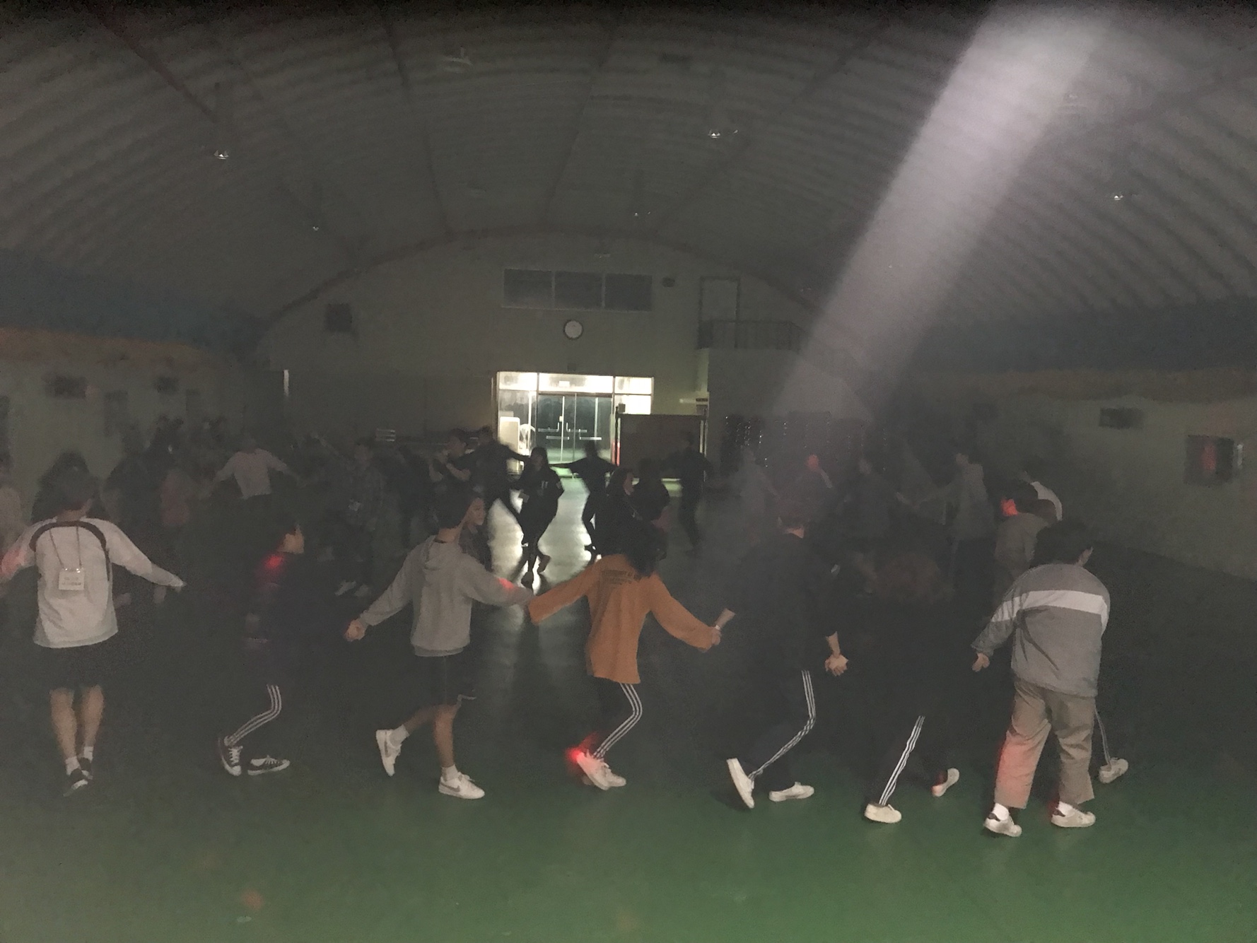 >물리치료학과 MT<